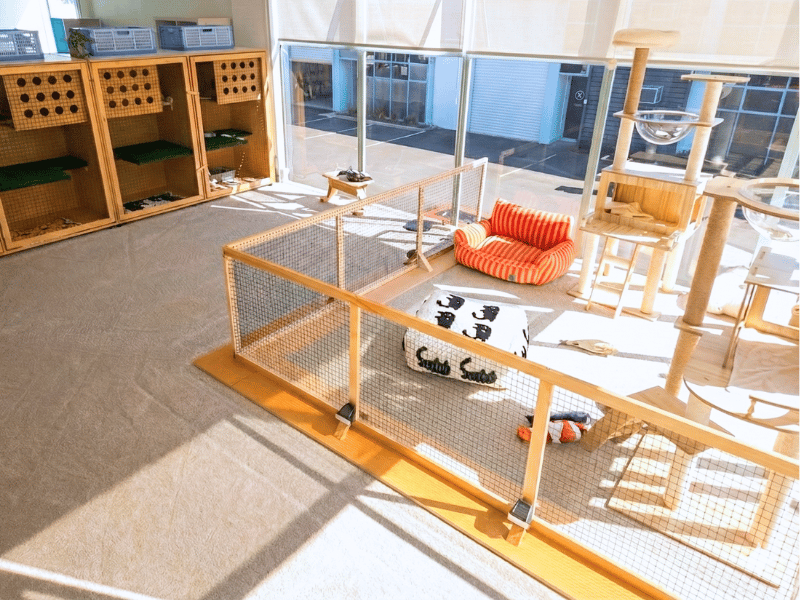 Public Play Area